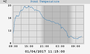 Pond Temperatures